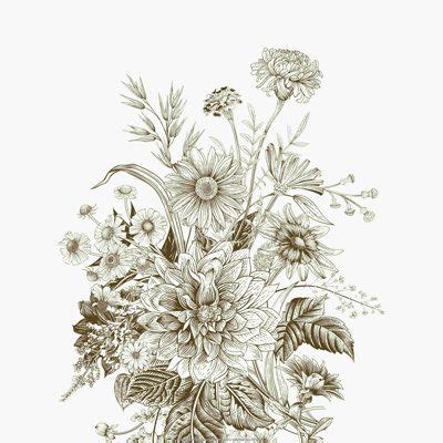 Winston Porter Sepia Flower Sketch Wrapped Canvas Painting Wayfair