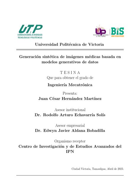 Tesina Final | PDF | Neurona | Imagenes medicas