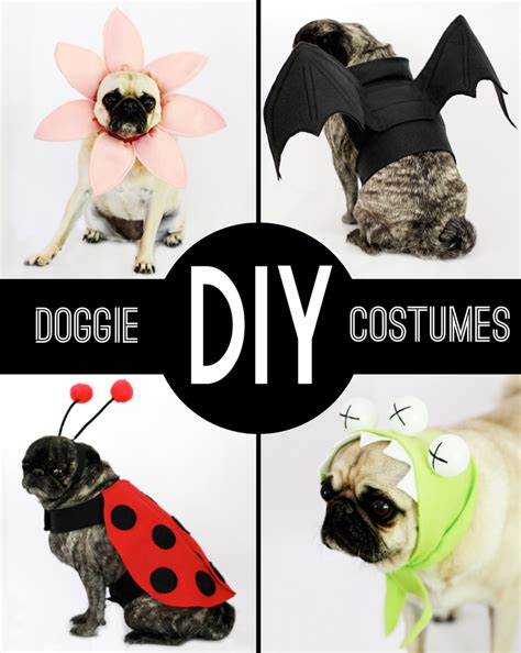 DIY Dog Costumes | Diy dog costumes, Diy pet costumes, Dog halloween costumes