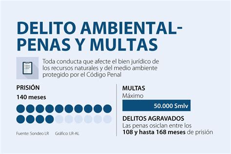 Conozca Cuáles Son Las Multas Penas Y Desafíos Alrededor De Los