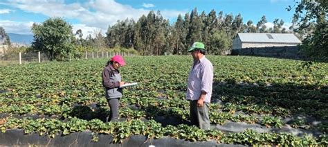 Registro Nacional Agropecuario Se Levantar En Tungurahua Ministerio