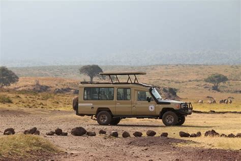 6 Days Safari Tarangire Northern Serengeti Central Serengeti