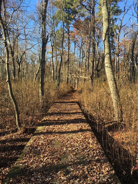 Turkey Swamp Park at John Heidt blog