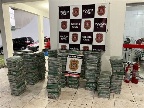 Polícia Civil apreende 975 tijolos de maconha e prende em flagrante