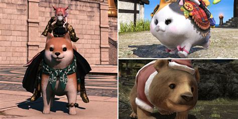 The Cutest Mounts In Final Fantasy 14