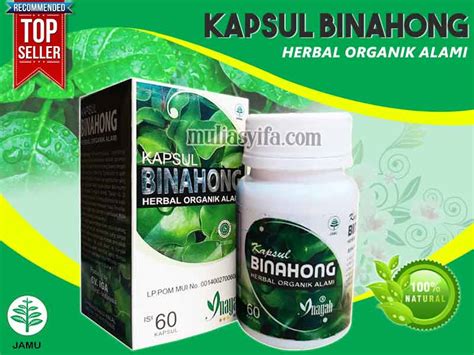 Jual Kapsul Binahong Inayah Di Buol Original