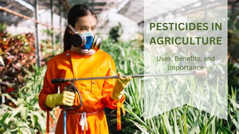 Pesticides In Agriculture Uses Benefits And Importance