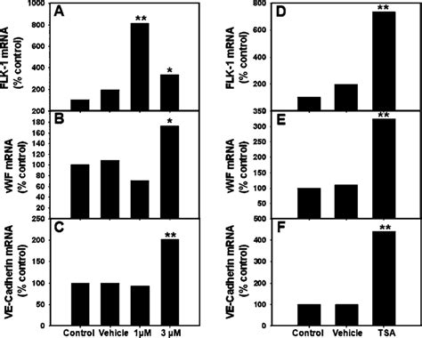 The DNMT And HDAC Inhibitors Increased Expression Of The Endothelial