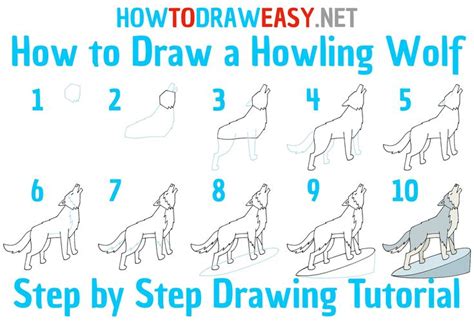 Step By Step Howling Wolf Drawing Tutorial Drawing Tutorial Wolf Drawing Drawings