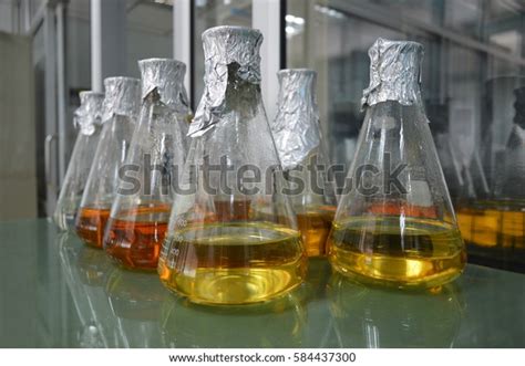 Broth Medium Culture Bacterial Cell Stock Photo (Edit Now) 584437300