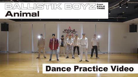 【dance Practice Video】「animal」 Ballistik Boyz From Exile Tribe Youtube