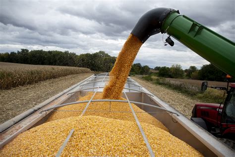 How Much Does A Farmer Get For Bushel Of Wheat Farmer Foto Collections