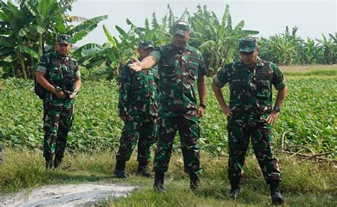 Kasdam V Brawijaya Tinjau Lahan Swasembada Pangan Di Gresik