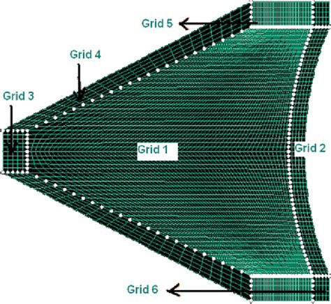 Lagrangian Formulation Grids In Joint Forms Color Figure Available