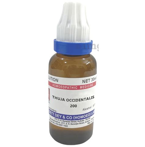 Sett Dey Thuja Occidentalis Dilution 200 Buy Bottle Of 300 Ml