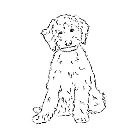 Premium Vector | Labradoodle mix dog australian poodle labradoodle