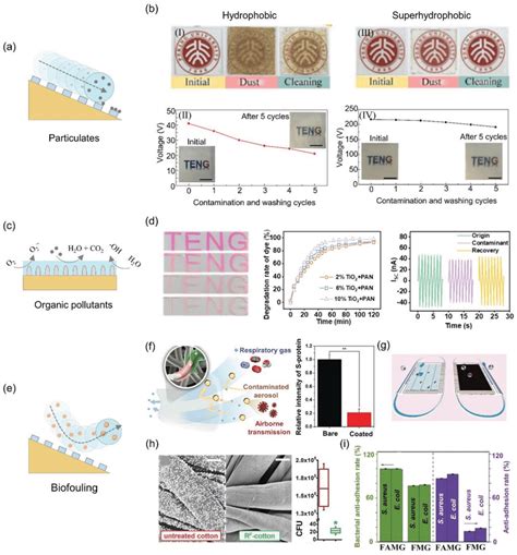 Selfcleaning In The Superhydrophobic Surface Schematics Illustrating