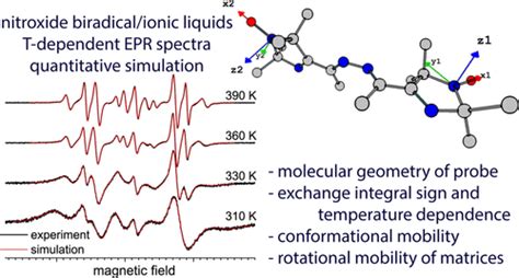 Rotational Dynamics Of Nitroxide Biradical In Room Temperature Ionic