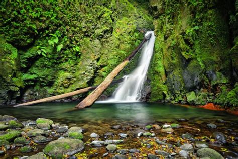 15 Beautiful Azores Waterfalls in Sao Miguel (and Beyond!)