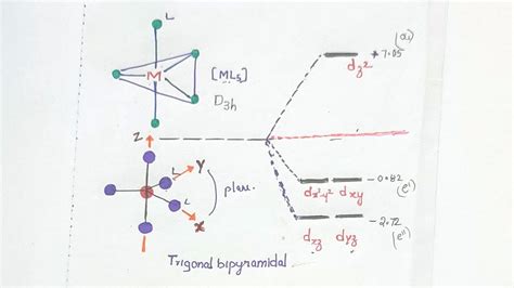 Crystal Field Splitting In Trigonal Bipyramidal Geometry YouTube