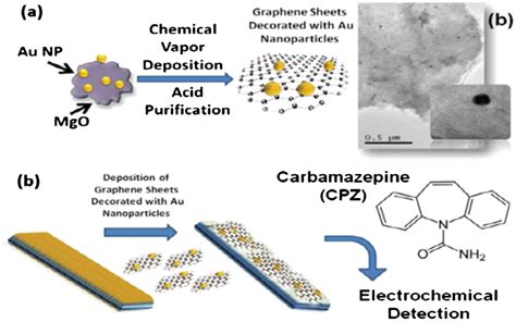 (a) Schematic representation of the synthesis of graphene decorated ...