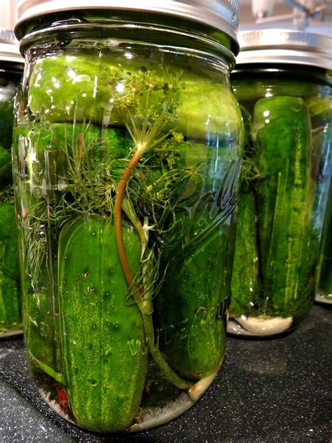 Bubu S Lacto Fermented Dill Pickle Recipe Good For You Gluten Free