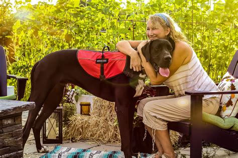 Saving Dogs Affected by Gastric Dilatation Volvulus - Avets