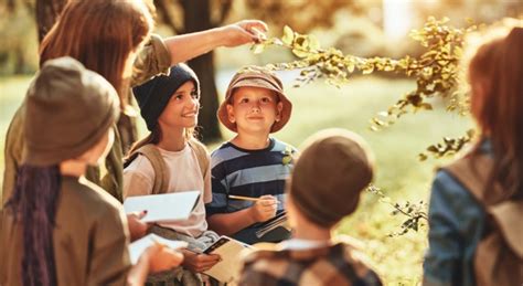 Les Meilleures Activit S De Plein Air Pour Les Enfants Clic Bien Tre