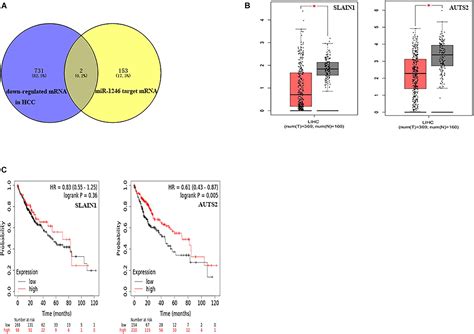 Frontiers Expression And Diagnostic Value Of Mir And Mir In