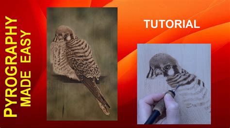 BIRDS – Pyrography Made Easy