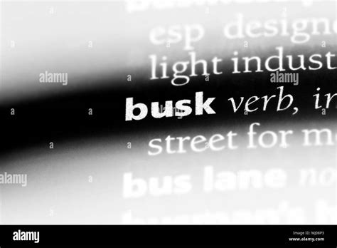 buck word in a dictionary. buck concept Stock Photo - Alamy