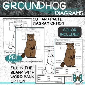 Parts of a Groundhog Diagram Poster and Student Pages by Backwoods Barn ...