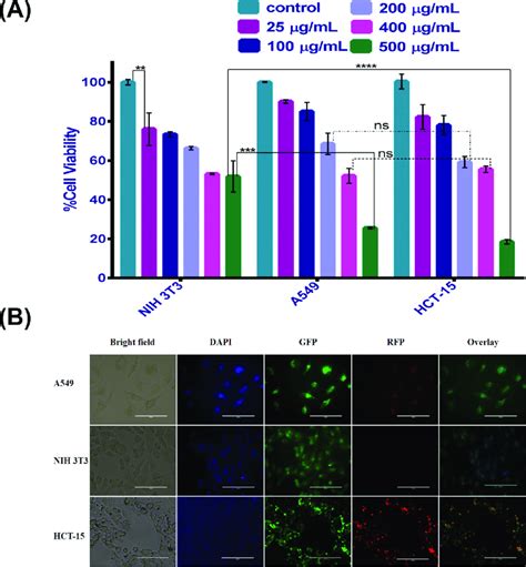 A Cell Viability Analysis Of Cdp Against Nih T A And Hct