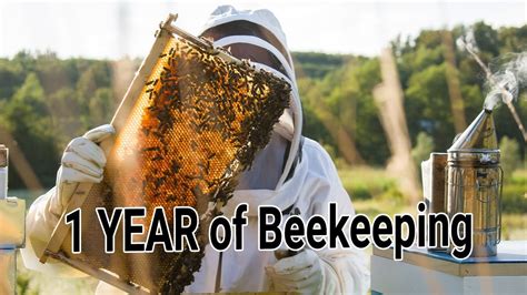 Becoming A Beekeeper Day 1 Till Day 365 My First Honey Harvest 1