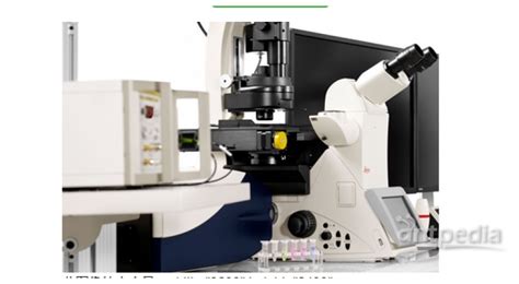 德国徕卡 共聚焦显微镜 Tcs Sp8 Smd 单分子检测平台价格仪器信息分析测试百科网