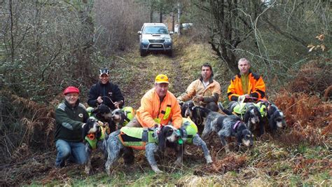 Le Concours De Meutes Sur Sanglier Débute Aujourdhui à Davejean