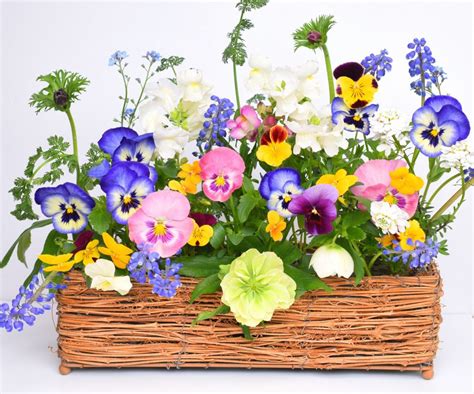 Spring Flowers Jigsaw Puzzle In Flowers Puzzles On TheJigsawPuzzles