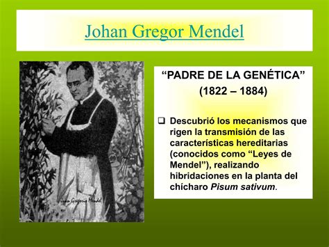 Genetica Mendeliana Leyes De Mendel Basica Para Principiantes Ppt