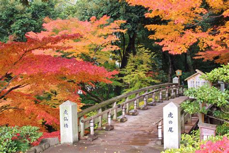 さあ、きもので！in名古屋～お出かけ日和！秋の徳川園散策andお寿司ランチ～｜イベント｜きものと（着物メディア）│きものが紡ぐ豊かな物語。－京都きもの市場