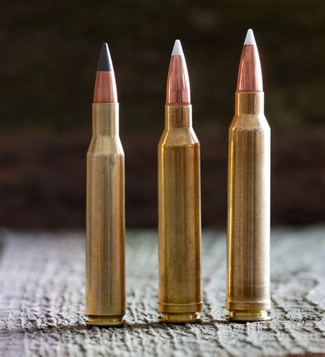 270 Winchester 7mm Rem Mag 300 Win Mag Performance Differences