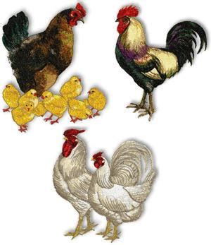 Advanced Embroidery Designs Hens Roosters And Chicks Set