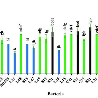 Proteolytic Activity Of The Lactic Acid Bacteria LAB Strains Isolated