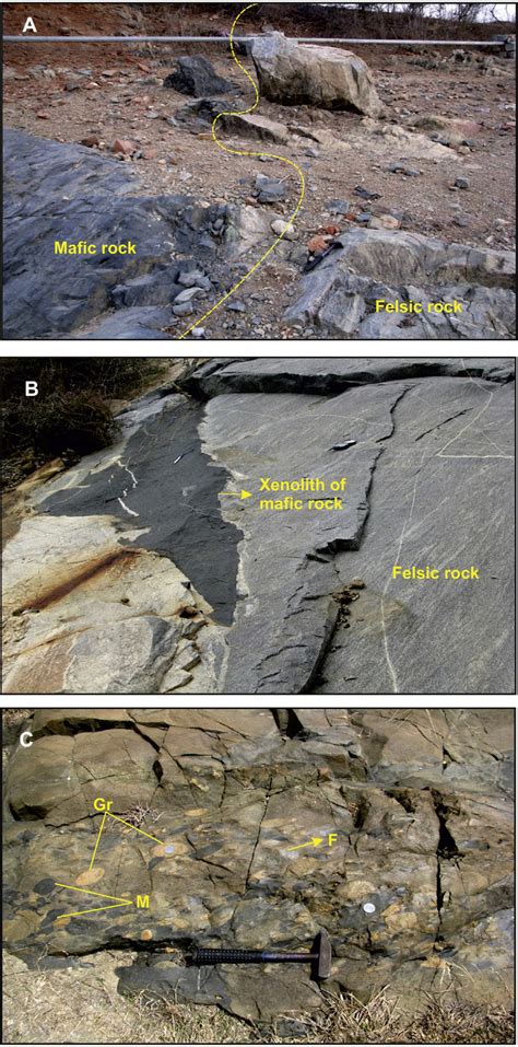 (A) Field photograph showing the contact between mafic and felsic ...