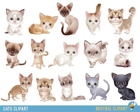 Cat Clipart Clip Art Kitten Clipart Clip Art Cute Animals | Etsy Canada