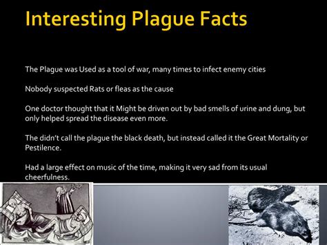 Ppt The Plague Black Death Powerpoint Presentation Free Download