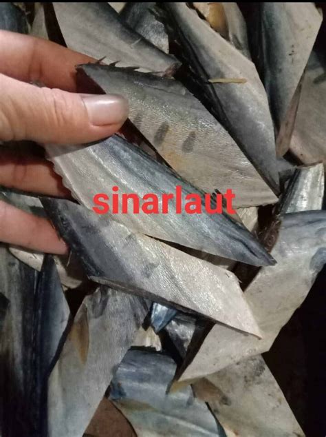 Ikan Asin WAIS TENGGIRI POTONG 500gram 1kg Lazada Indonesia