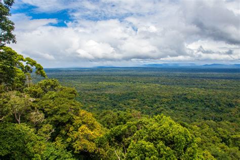 guyana  rainforest meets savanna southcentral america
