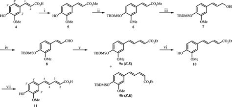 Scheme 2 Reagents And Conditions I MeOH H 2 SO 4 Reflux 24 H