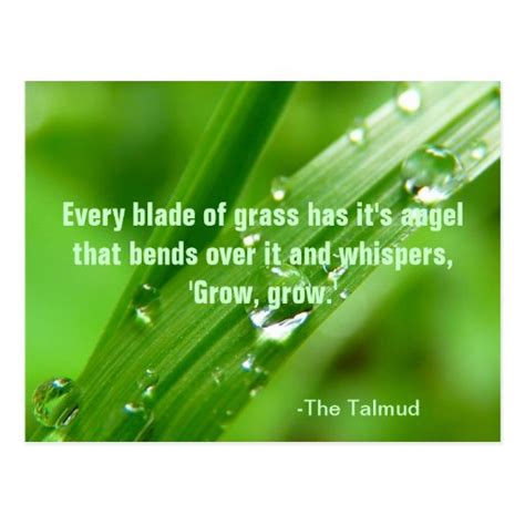 Every Blade Of Grass Quote Postcard Zazzle