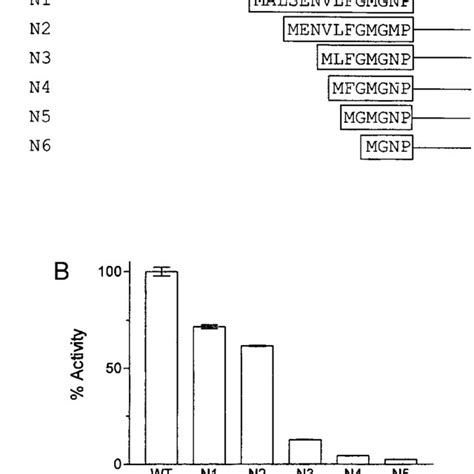 Effect Of N Terminal Deletions A On Ak Activity And Biochemical